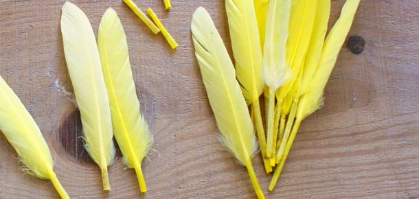 plume-jaune-indien-yellow-indian-feather.jpg