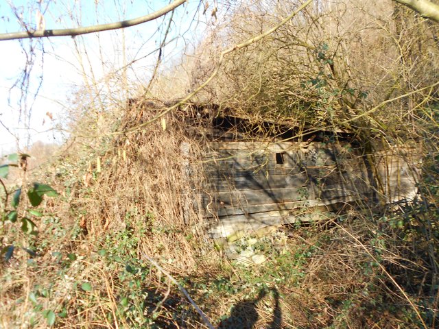 DSCN2849.JPG