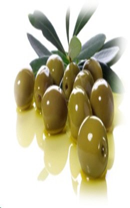 olives.jpg