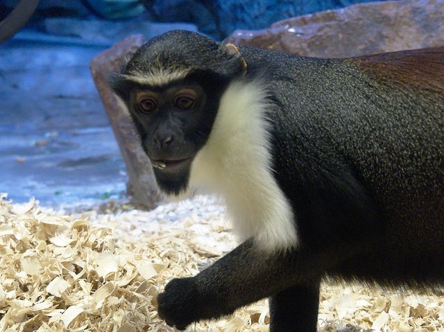 20171005_OmahaZoo105.jpg