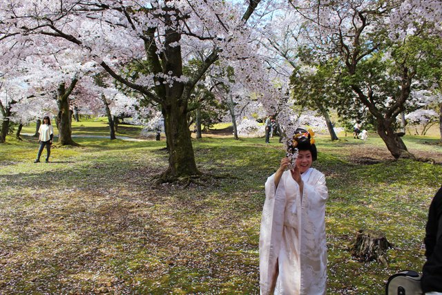 japanese-bride-nara.jpg