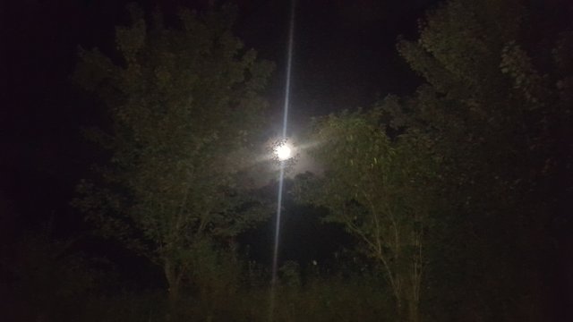 20170706_231449.jpg