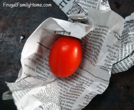 newspaper tomato.jpg