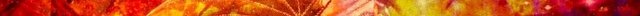 wizard-dragon-flames-cursive-multi-blend (5).jpg