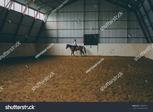 stock-photo-a-beautiful-blonde-girl-in-outfit-trains-a-horse-in-an-arena-horse-riding-horse-racing-jumping-679848121.jpg
