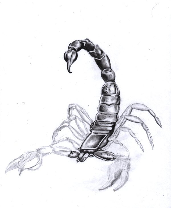 img015.jpg