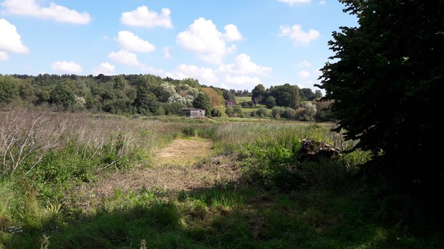 amwell quarry nature reserve.jpg