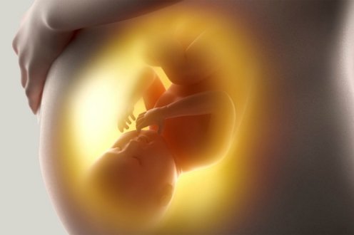 hiccup-in-the-womb.jpg