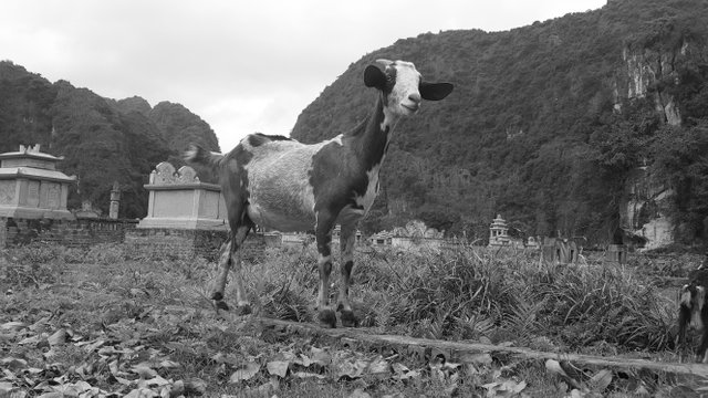 20170330_143603.jpg