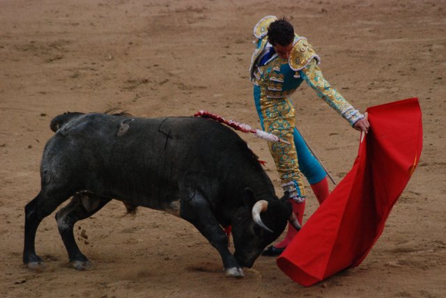Madrid_Bullfight.JPG