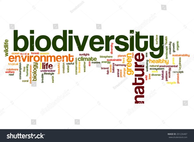 stock-photo-biodiversity-concept-word-cloud-background-201226487.jpg