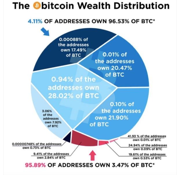 btc wealth distribution.JPG