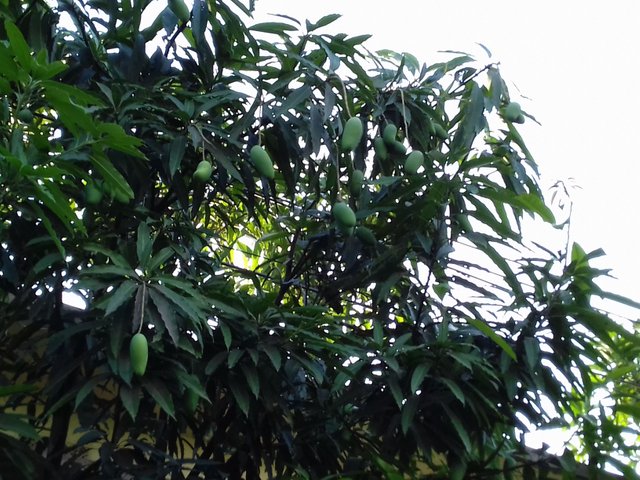 20180503_162548.jpg