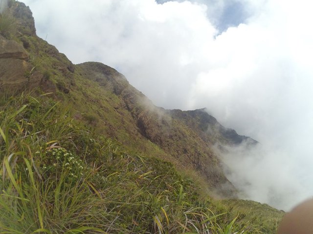 YDXJ0856.jpg
