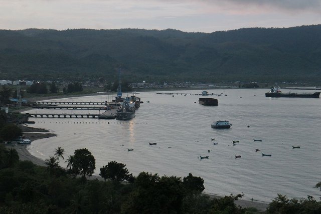 IMG_3000.JPG