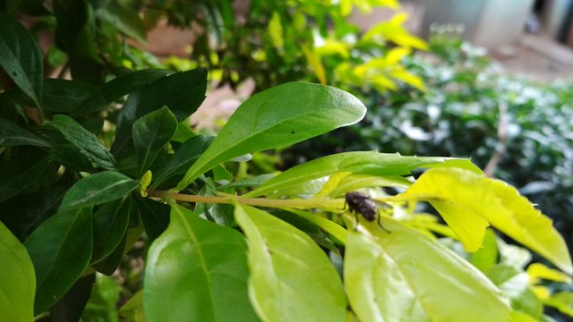 IMG_20180422_174043.jpg