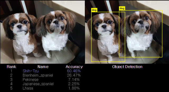 object.detection.20180326235250.png