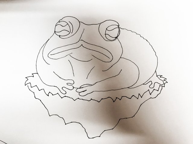 Frog_1_1.jpg