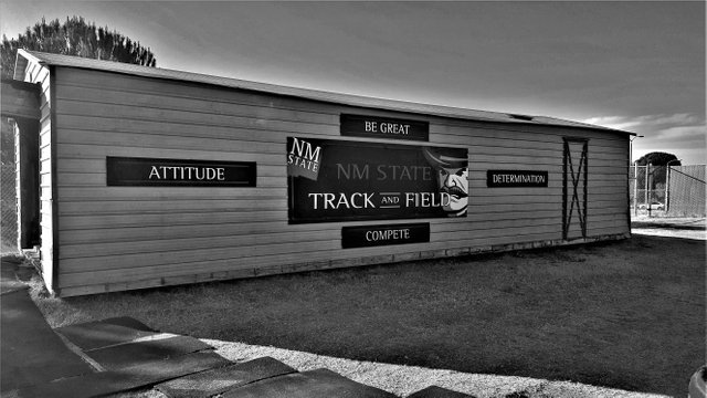 be_great_nmsu_track_anf_field_bwphoto_theia.jpg