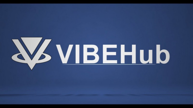 vibehub cryptocurrency