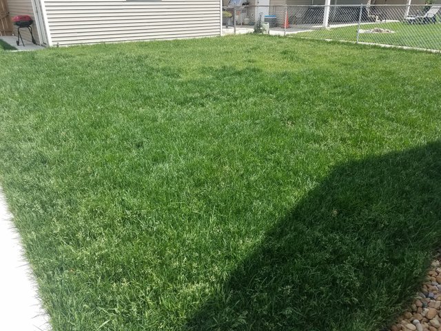 20170522_140840.jpg