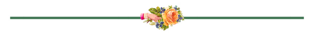 border - rose and hand.png