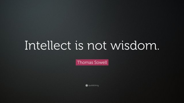 2242847-Thomas-Sowell-Quote-Intellect-is-not-wisdom.jpg