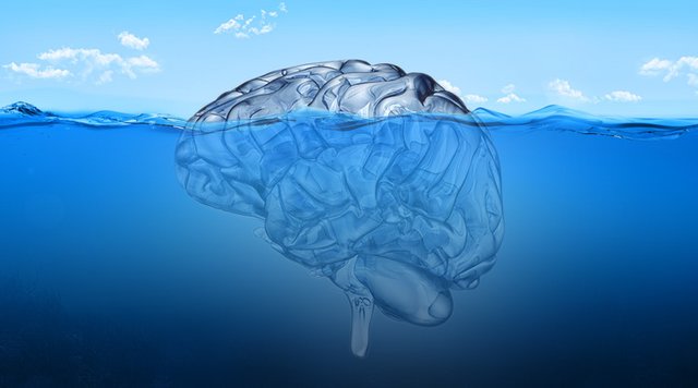 brain-in-sea3.jpg