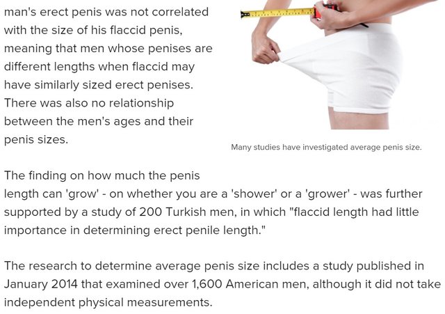 What is the average penis size?