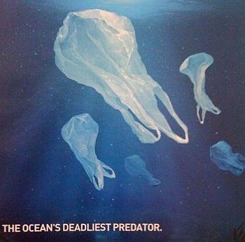 plastic bag jellyfish.jpg