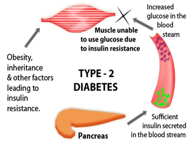 Slide6.JPG