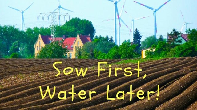 Sow-first-water-later.jpg