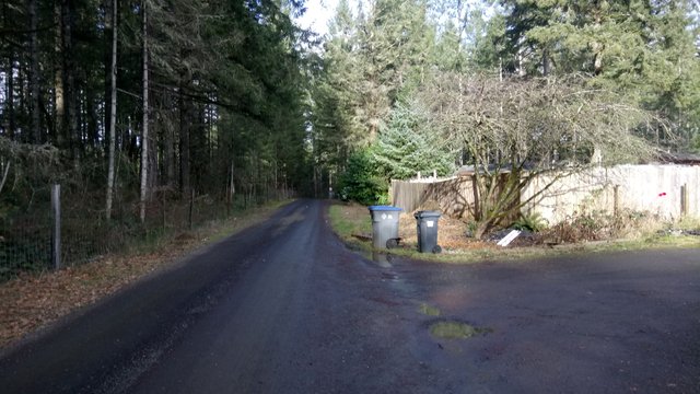 DSC_0016.JPG
