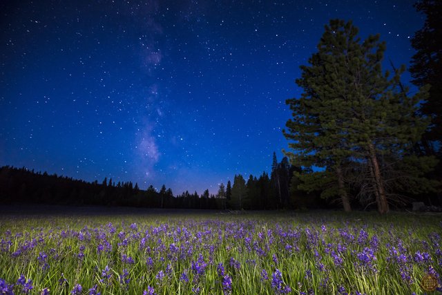 Milky Way Above Sagehen Meadows 3 (1).jpg