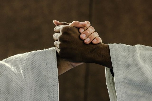 judo-2121640__480.jpg