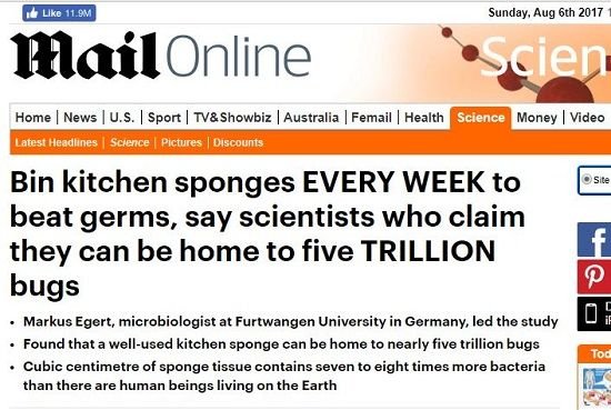 mail online sponge.JPG