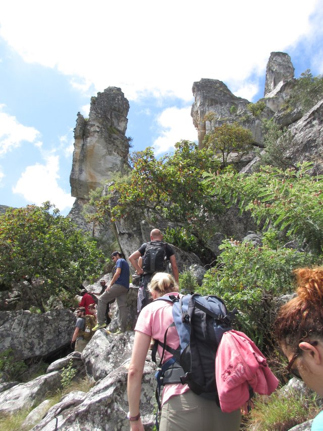 chimanimani-park.jpg