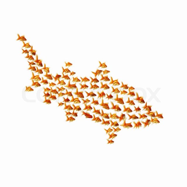 2282877-many-gold-fish-together-as-symbol-of-teamwork.jpg