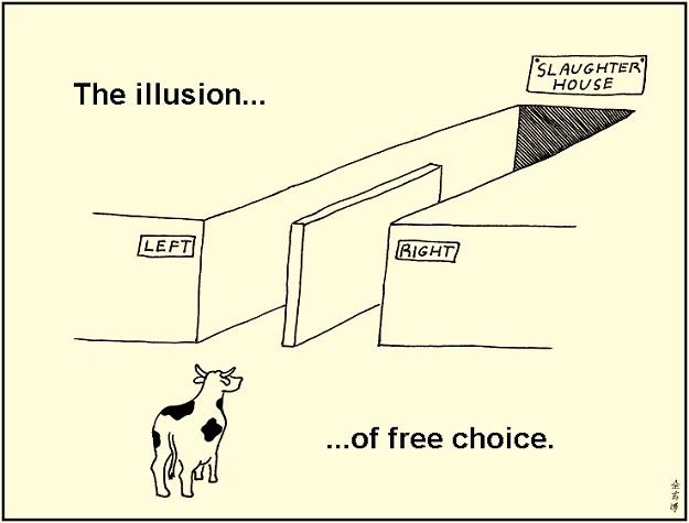 illusion of choice.jpg