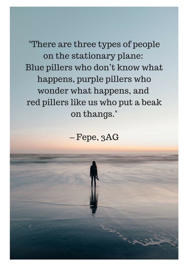 _There are three types of people on the stationary plane. Blue pillers who don’t know what happens, purple pillers who wonder what happens, and red pillers who put a beak on thangs._(1).png