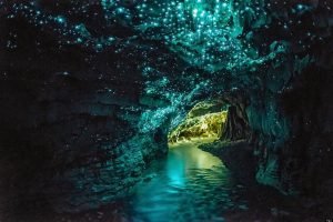 Glow-Worm-Cave-300x200.jpg