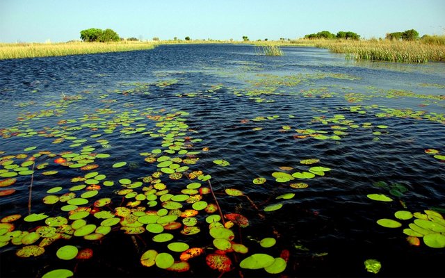 Okavango-Delta-Camps.jpg