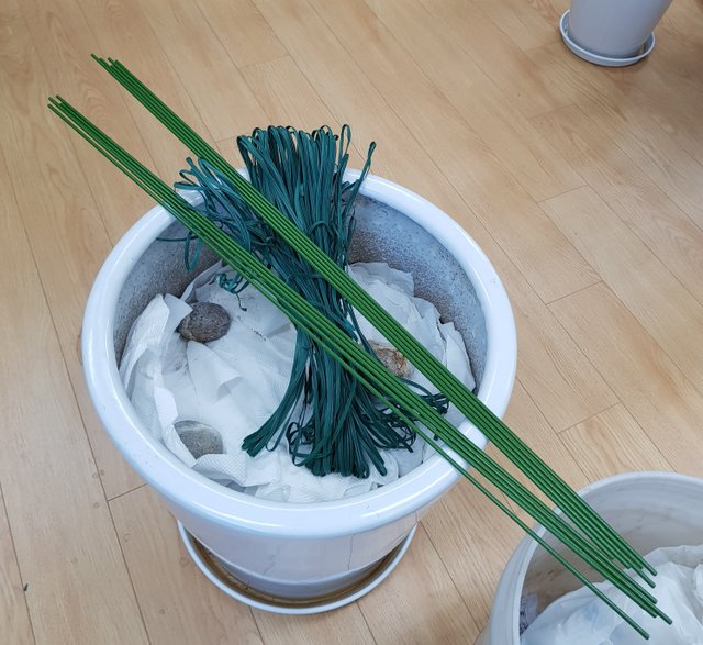 20180316_135542.jpg