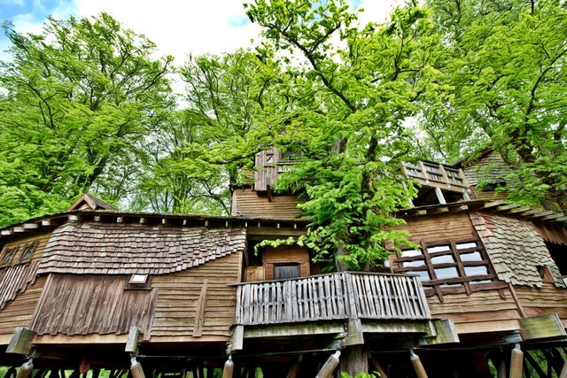 bf treehouse_alnwick_northumberland_tree_house_uk_spring_rustic-1193480.jpg!d.jpg