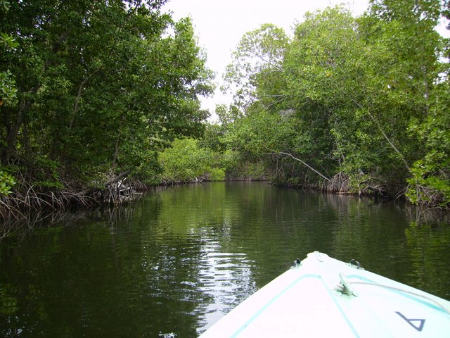 P1010035.JPG