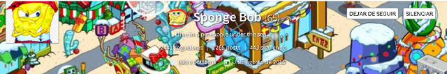 sponge.PNG