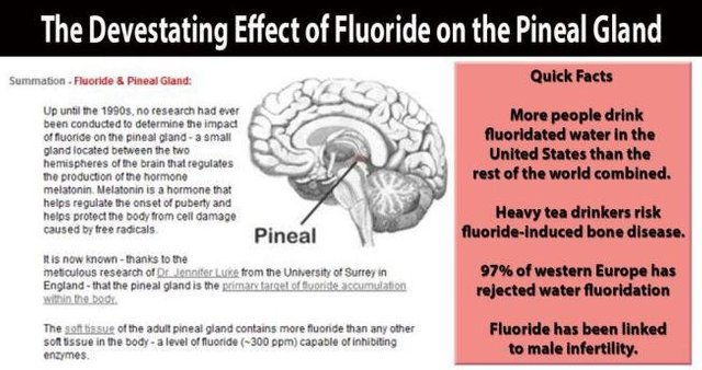 activating-pineal-2.jpg