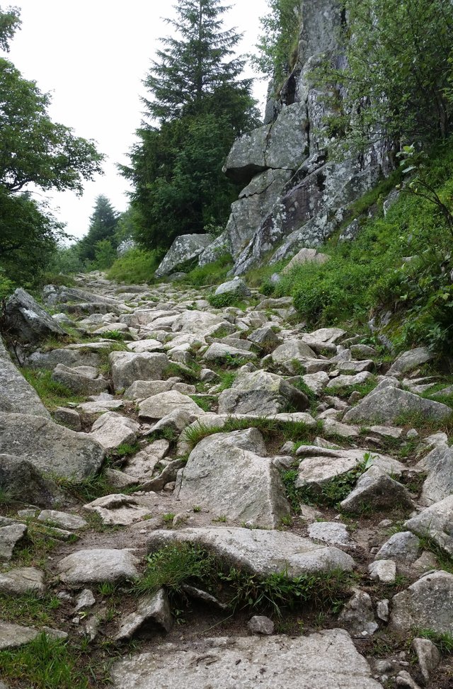 sentier de rochers.jpg