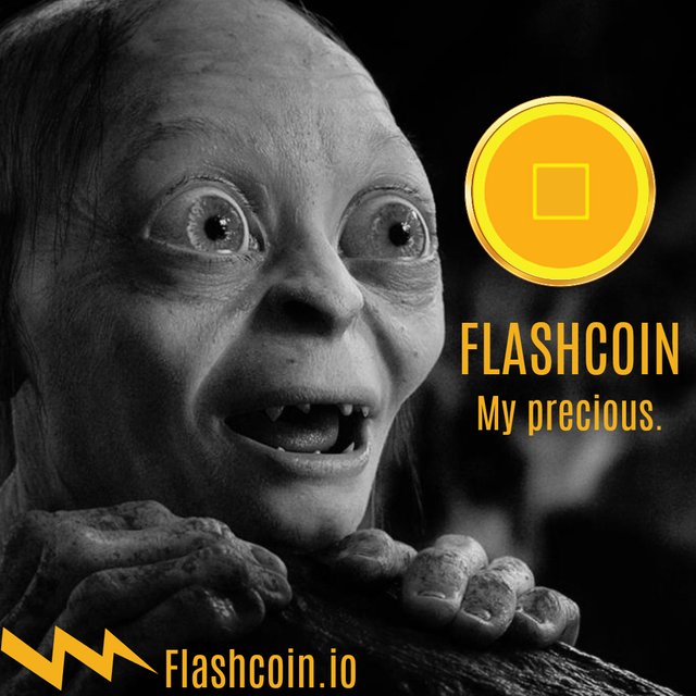 Flashcoin-image011.jpg