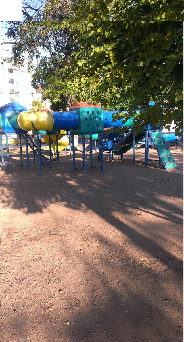 IMAG0313.jpg